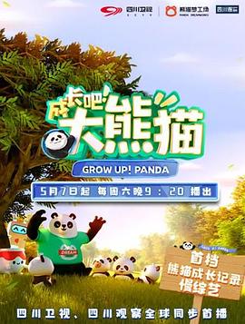 成长吧！大熊猫
