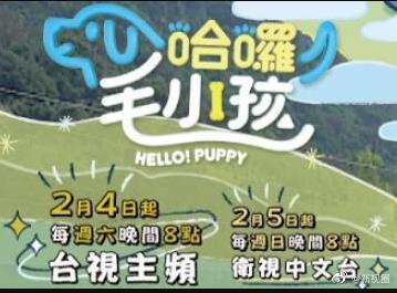 哈啰！毛小孩