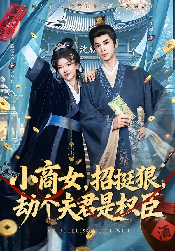 小商女，招挺狠，劫个夫君是权臣